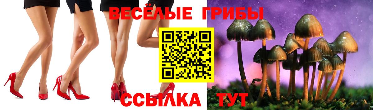 Псилоцибиновые грибы MAGIC MUSHROOMS  Вход с VPN  Павловский Посад  Галлюциногенные грибы Psilocybine cubensis 